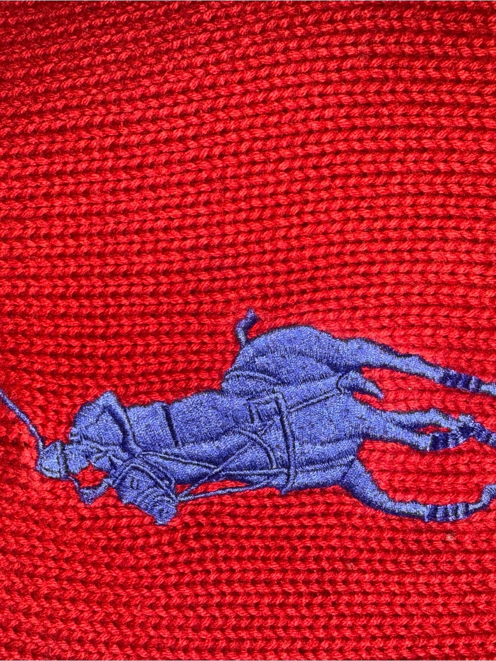 Polo red and Black Knit Sweater with Striped Sleeves - Picture 2 of 6